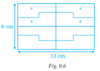 Page 258 Chapter 9 Class 7th NCERT Exemplar